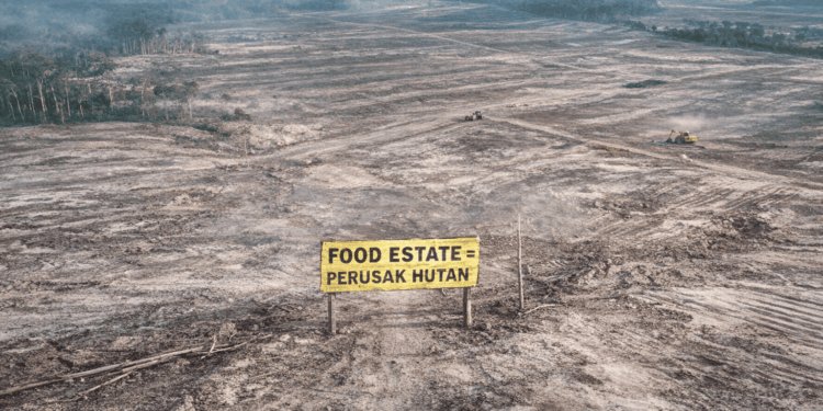 Sumber: Greenpeace Indonesia
